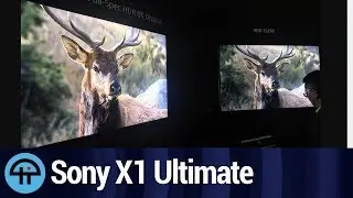 Sony X1 Ultimate Prototype - Impressions from CES