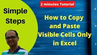 How to Copy and Paste Visible Cells only in Excel