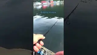 Тонкости Ловли СКУМБРИИ! #short