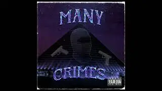MANY CRIMES