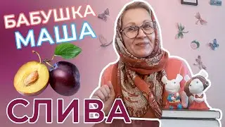 Слива | Развивающее видео | Видео для детей | Фрукты для детей | Рассказывает Бабушка Маша