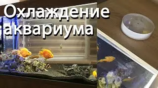 Охлаждение аквариума своими руками - Перегрев воды в аквариуме