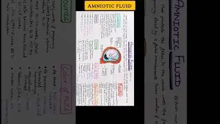 Amniotic fluid 