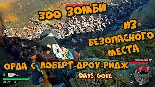 Орда с Лоберт-Дроу-Ридж Ещё Одно Секретное Место Жизнь После  Days Gone Lobert Draw Ridge Horde