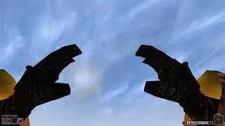 The Elder Scrolls III: Morrowind ВЫЖИВАНИЕ ДЕНЬ 116