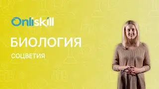 БИОЛОГИЯ 6 класс: Соцветия