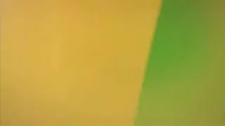 Professional Light Leaks Film Burn Overlay Effects Green Screen 4K
