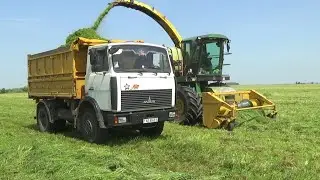Заготовка кормов в СПК 