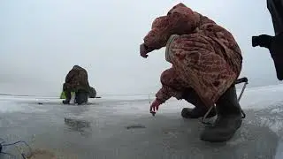 Клёв воблы на Капчагае. Как Ерлан и я порыбачили.