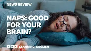 Naps: Good for your brain? BBC News Review