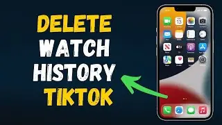 Delete watch history TikTok in 2024 (Step by Step)