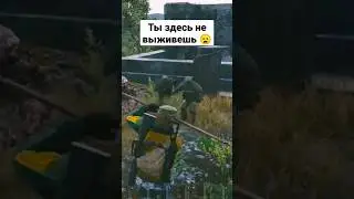 Они не оставили мне шансов 😔 