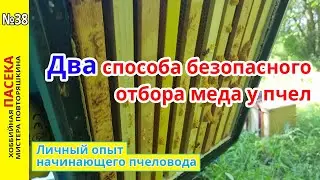 Два способа безопасного отбора меда у пчел. Опыт начинающего пчеловода.