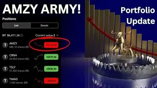 AMZY ETF - Bloody Portfolio Update - TSLY Sandwich - Fidelity Brokerage - 