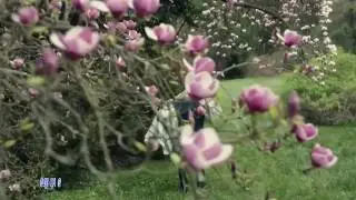 Любовь запретная.Стас Михайлов.