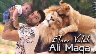 Elnur Valeh - Ali Maqa (Yeni 2022)