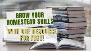 Free resources from HERE; what no one is talking about | urban homesteading