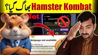 Hamster kombat 🚫BAN? | Hamster kombat not open | web page not available hamster kombat