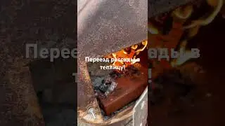 Ура! У рассады новоселье!