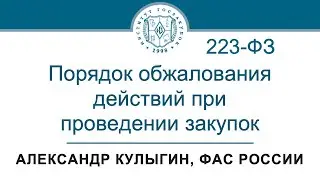 Порядок обжалования действий при проведении закупок по Закону 223-ФЗ – А.В. Кулыгин, ФАС, 06.06.2024