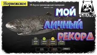 Russian Fishing4 #РР4... Норвежское Море - Гренландская акула. 1 час - за 8 минут. Русская рыбалка 4