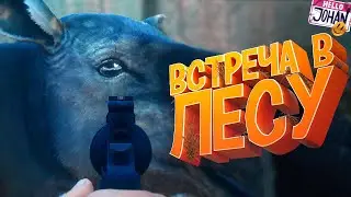 Встреча в лесу ( No man sky / the hunter / RDR / EFT / Deep Rock Galactic )