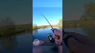 🎣 Поклевка Форели на Спиннинг ❗️