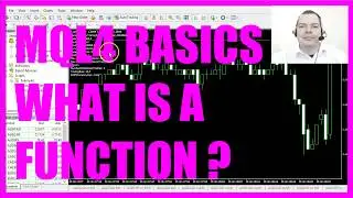 MQL4 TUTORIAL BASICS - 2 WHAT IS A FUNCTION