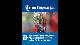 Gerindra Ungkap Penyebab Ahmad Sahroni Batal Jadi Ketua Tim Pemenangan