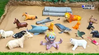 Wild Farm and Sea Animals Toys Stuck in Mud | Fun Learning Animal Sounds & Videos for Kids