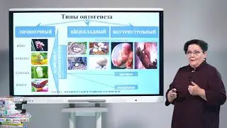 10 класс. Биология.  Индивидуальное развитие организмов