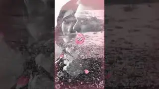 Я так странно к тебе привязана... (Автор: неизвестен)