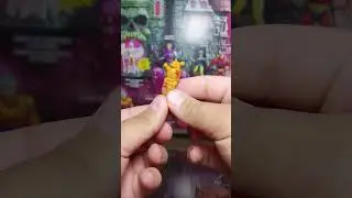 #shorts unboxing de la figura de acción de leonardo tortugas ninja vintage | SleepingRacoon