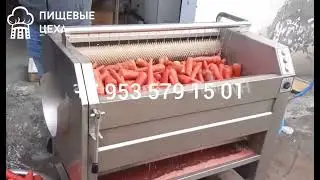 Машина для мойки моркови и плодов