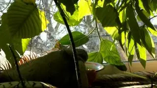 Мальчик начал кушать