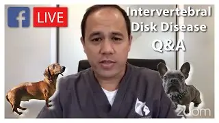 Intervertebral Disk Disease(IVDD): Live Q & A with Dr. Wong