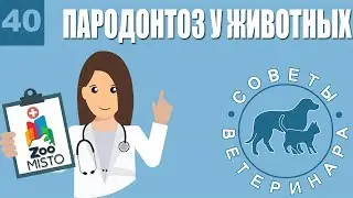 Пародонтоз у животных | Причины пародонтоза | Симптомы и лечение болезни | Советы Ветеринара