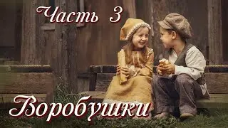 💗ВОРОБУШКИ💗Часть 3. Трогательный христианский рассказ. Истории из жизни. Для широкого круга.