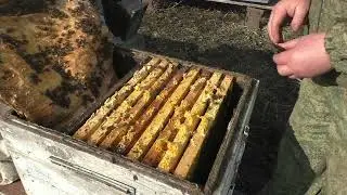 ЧТО С МАТКОЙ ? ТРУТЕНЬ ПОШЁЛ В ЗИМУ!