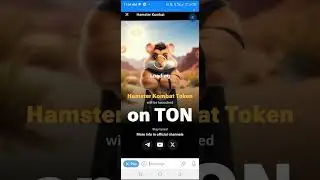 Is your hamster Kombat account not opening? watch and solve the problem now 