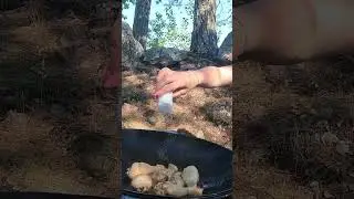 Лютые на природе