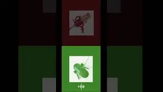 Enhance VOICE RECORDING