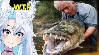 These Fish Are Way More Horrifying Than Sharks || Casual Geographic React