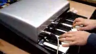 Fender Rhodes Bass '66