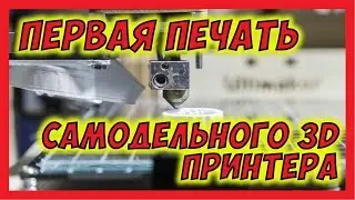 🔴 Первая печать самодельного 3D принтера