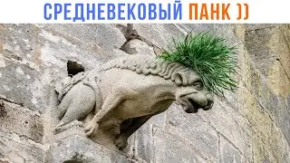 СРЕДНЕВЕКОВЫЙ ПАНК ))) Приколы | Мемозг 1466