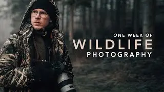 I tried Wildlife Photography...