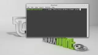 How to flush (clear) DNS Cache in Linux Mint (Ubuntu)