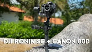 DJI Ronin-SC: Canon 80D Setup Tutorial + Activetrack Pro + Video Samples