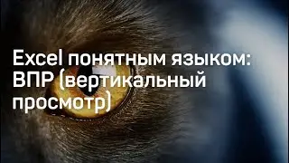 Функции Excel: ВПР (вертикальный просмотр)